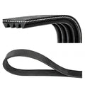 Cinghia servizi Poly-V Dayco 5PK1145