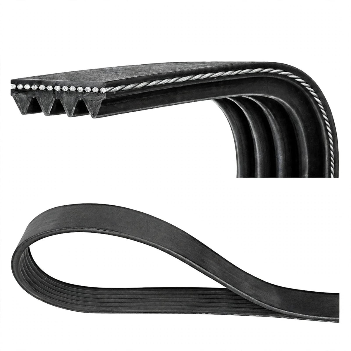Cinghia servizi Poly-V Dayco 6PK1890